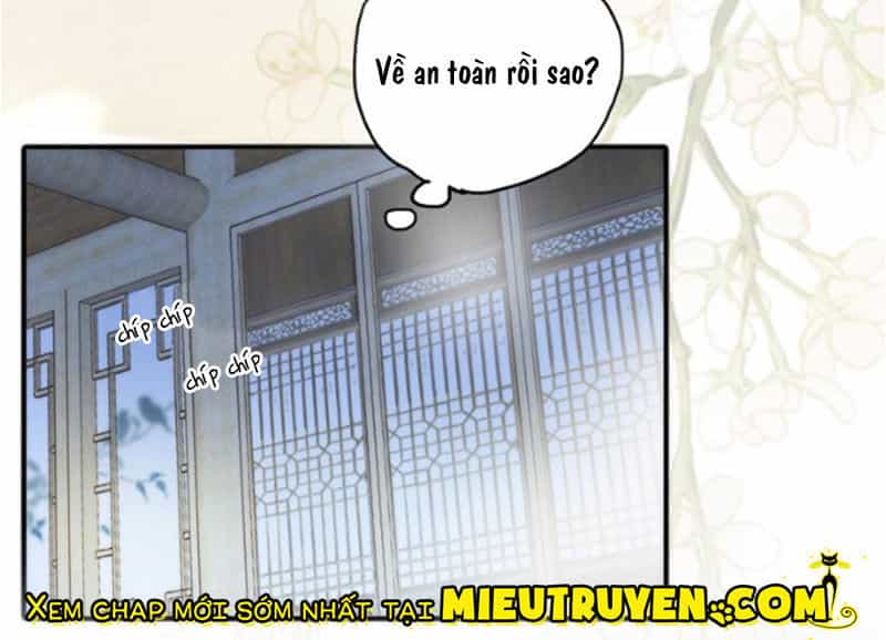 Cướp Chàng Vợ Về Đón Năm Mới - Chương 17 - ảnh 35