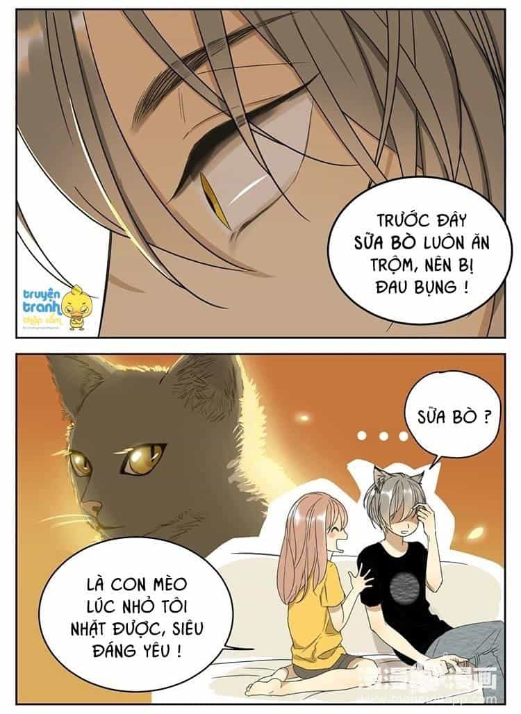Cứu Mạng! Loài Mèo Thống Trị Thế Giới Rồi! - Chương 11 - ảnh 8