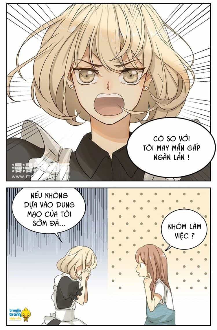 Cứu Mạng! Loài Mèo Thống Trị Thế Giới Rồi! - Chương 12 - ảnh 7