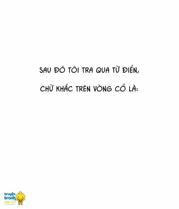Cứu Mạng! Loài Mèo Thống Trị Thế Giới Rồi! - Chương 13 - ảnh 23
