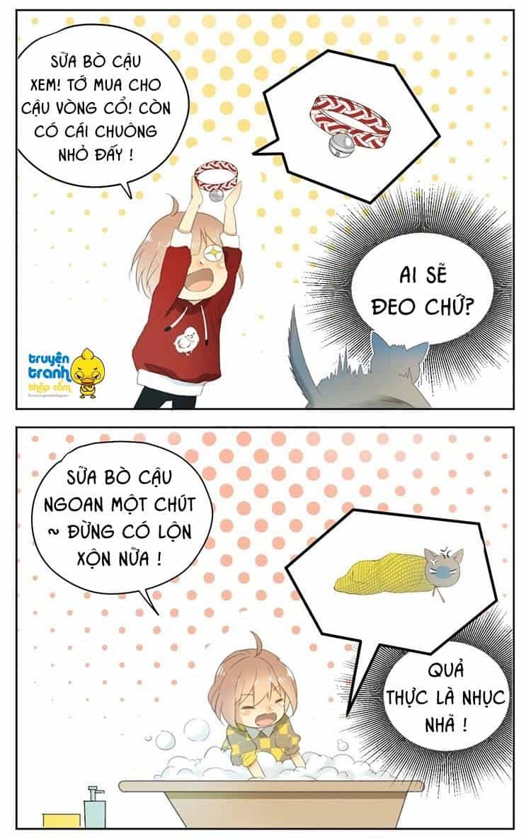 Cứu Mạng! Loài Mèo Thống Trị Thế Giới Rồi! - Chương 24 - ảnh 18