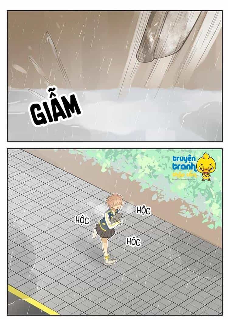 Cứu Mạng! Loài Mèo Thống Trị Thế Giới Rồi! - Chương 26 - ảnh 2