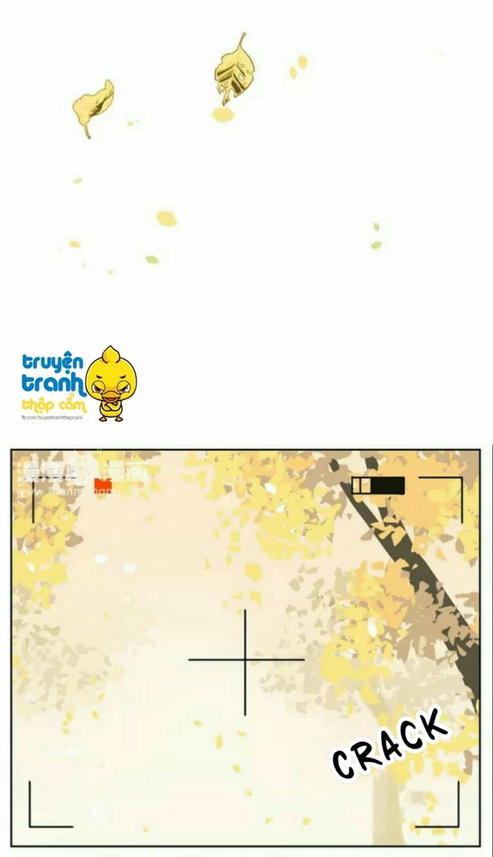 Cứu Mạng! Loài Mèo Thống Trị Thế Giới Rồi! - Chương 37 - ảnh 6