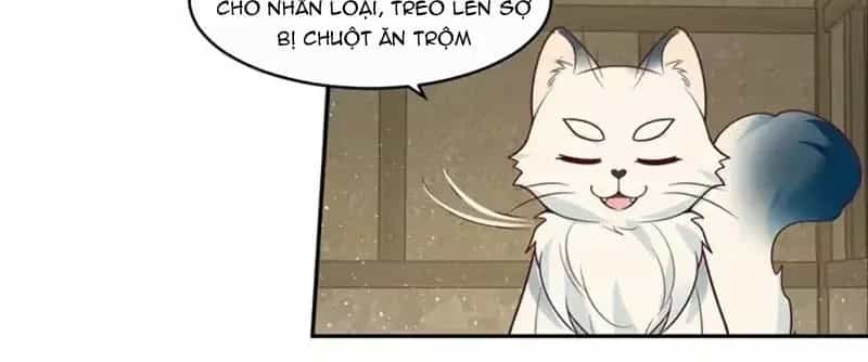 Cựu Nhật Chi Triện - Chương 44 - ảnh 29