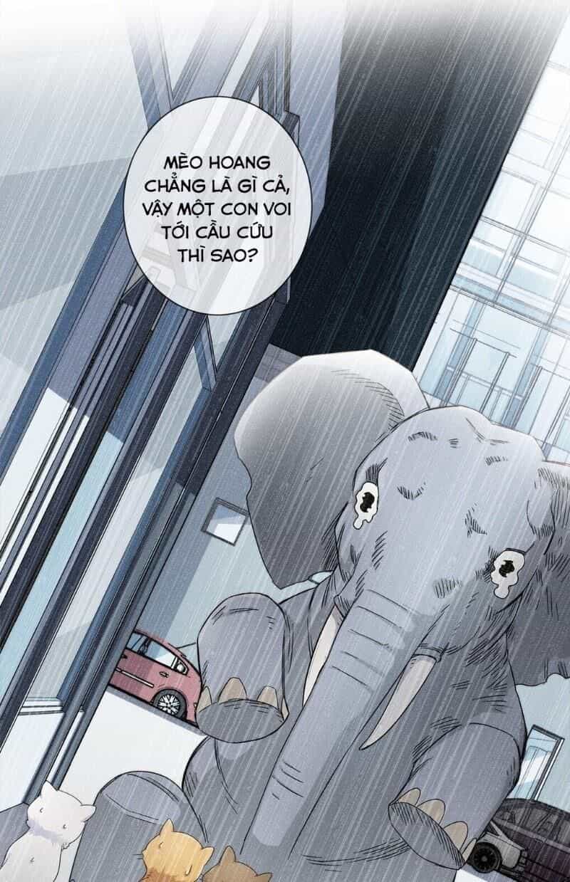 Dạ Thị Chi Chủ - Chương 20 - ảnh 35