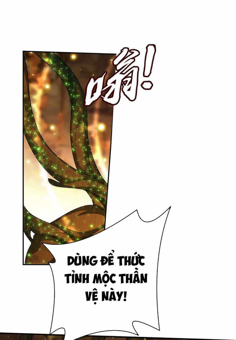 Đại Chúa Tể - Chương 301 - ảnh 25