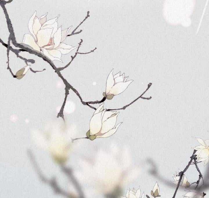Đại Đế Vương - Chương 4 - ảnh 70