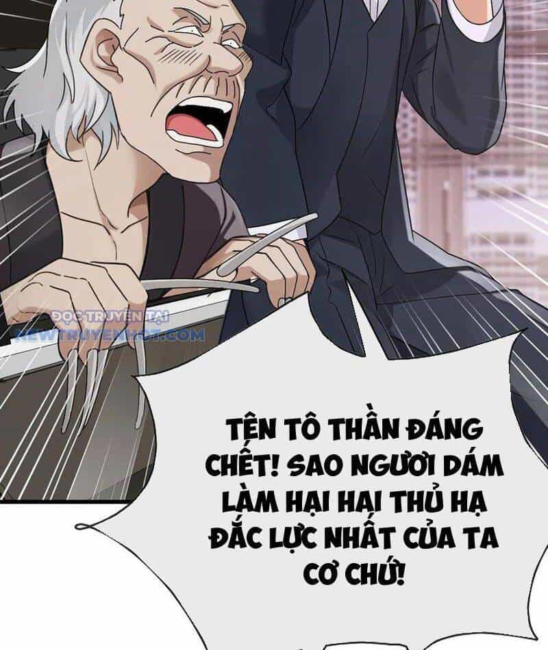 Đại Lão Xuống Núi: Bắt Đầu Từ Việc Trở Thành Thư Ký - Chương 48 - ảnh 12