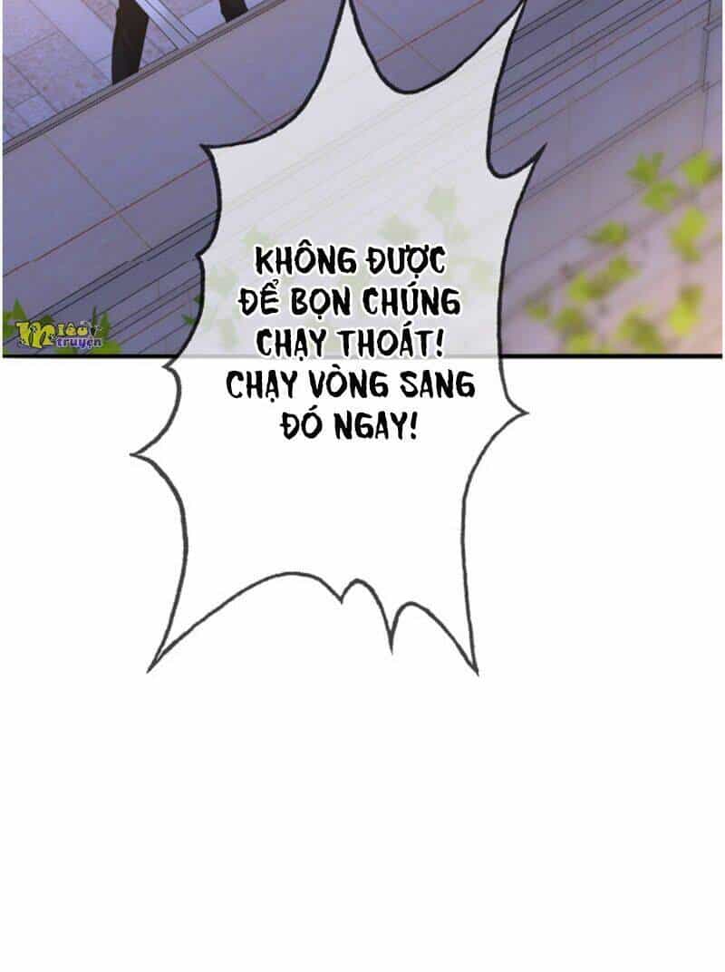 Danh Môn Chí Ái - Chương 222 - ảnh 38