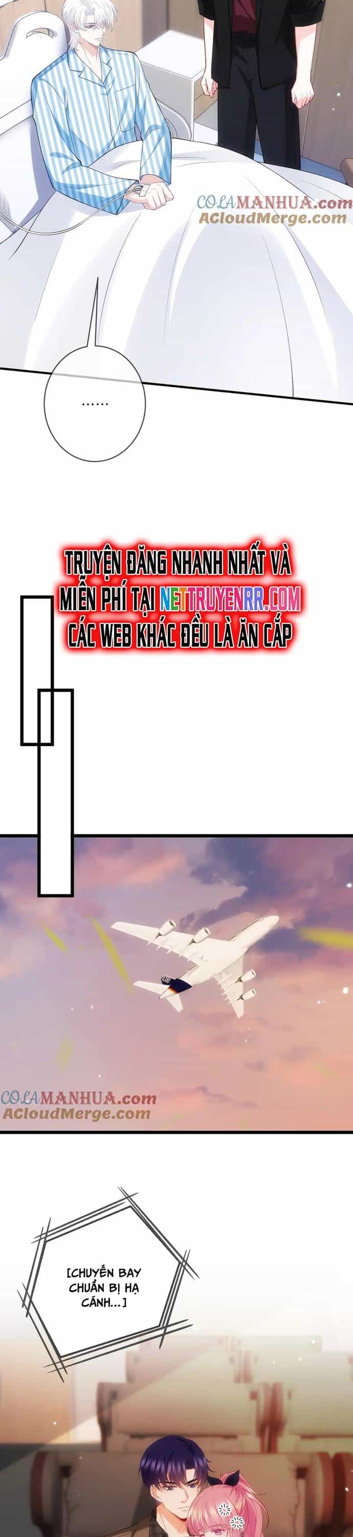Danh Môn Chí Ái - Chương 498 - ảnh 11