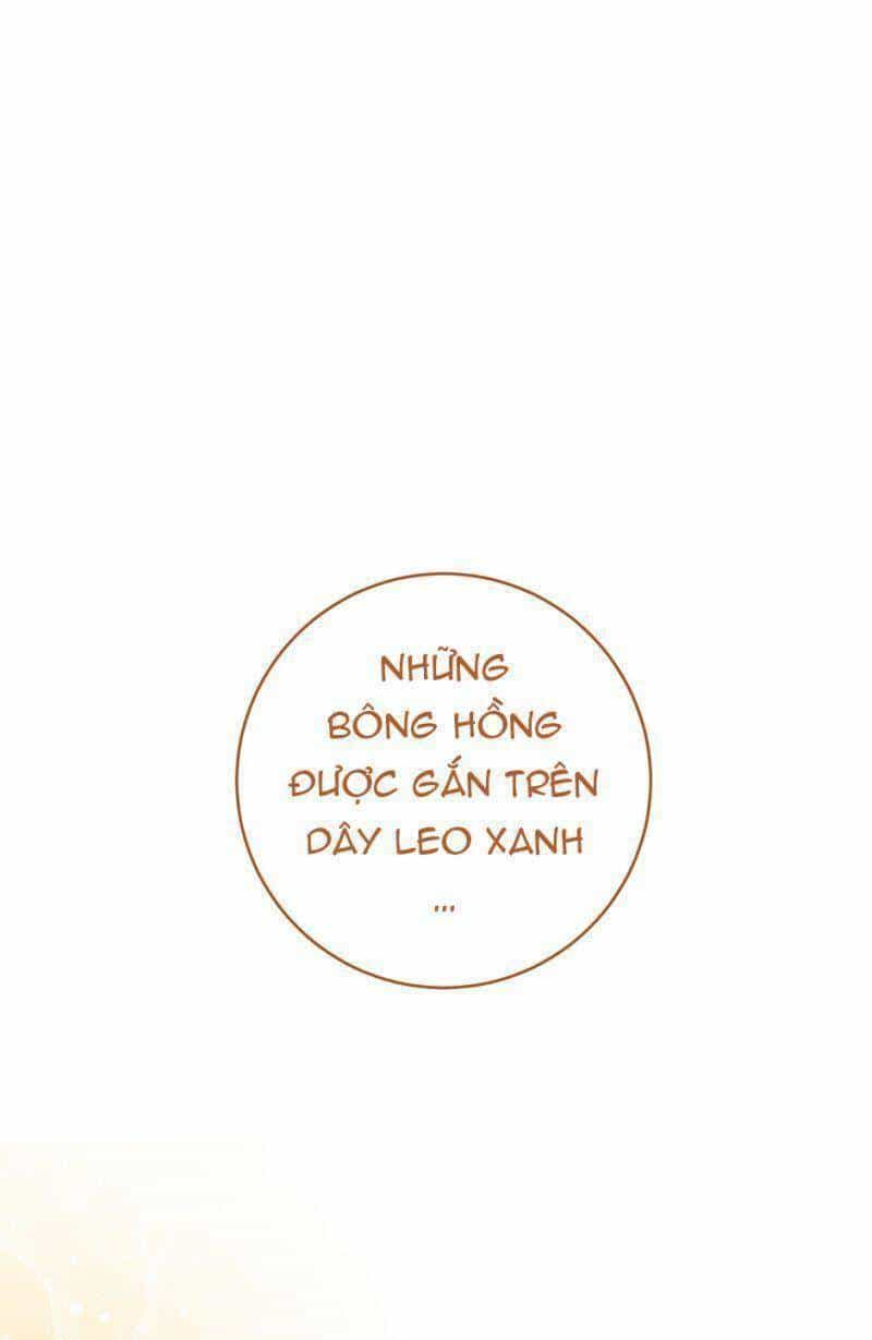 Đầu Bếp Hoàng Gia - Chương 65 - ảnh 11