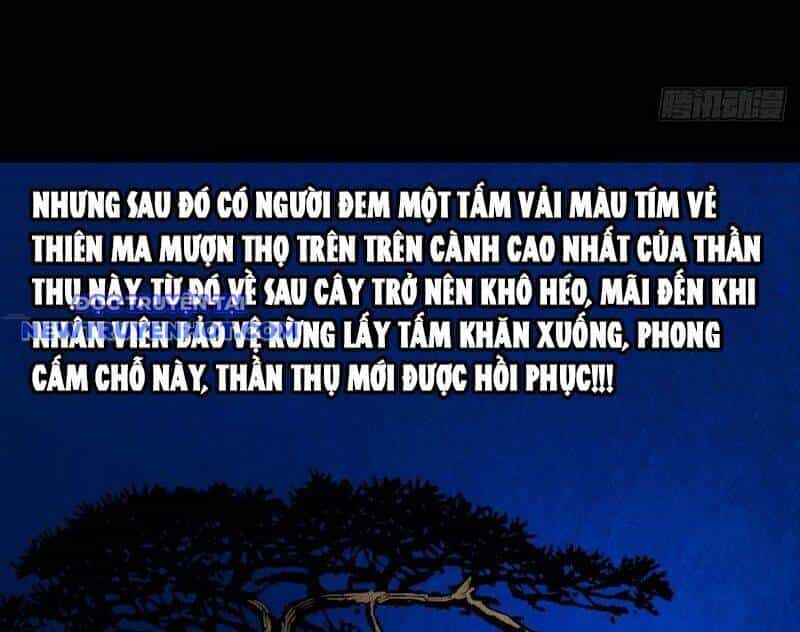 Đấu Yếm Thần - Chương 131 - ảnh 13