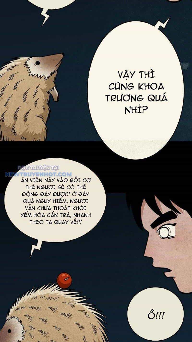 Đấu Yếm Thần - Chương 50 - ảnh 21
