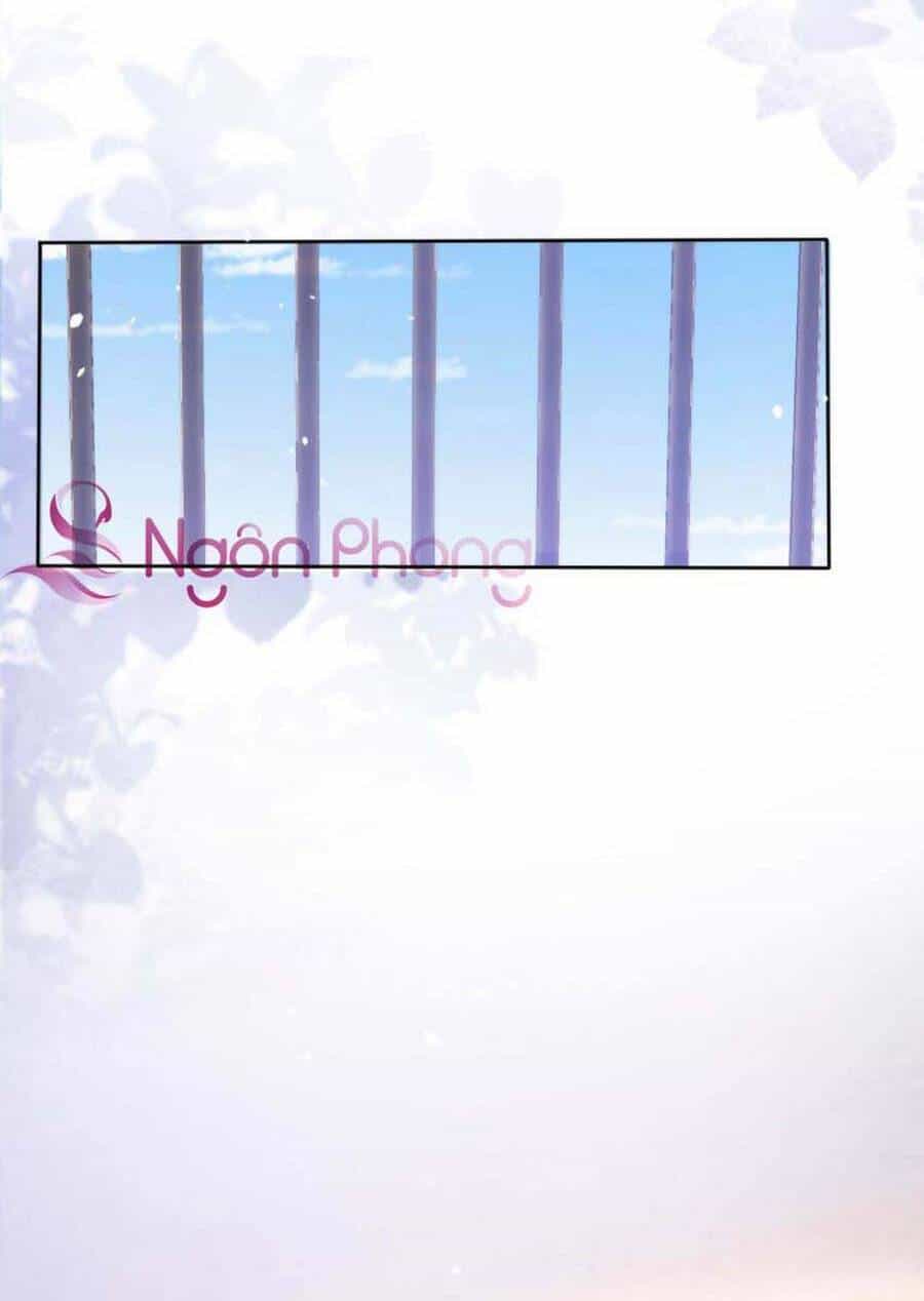 Dây Dưa Không Dứt - Chương 17 - ảnh 16