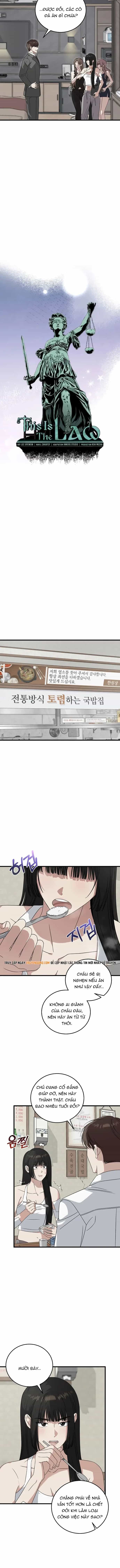 Đây Là Luật - Chương 177 - ảnh 4