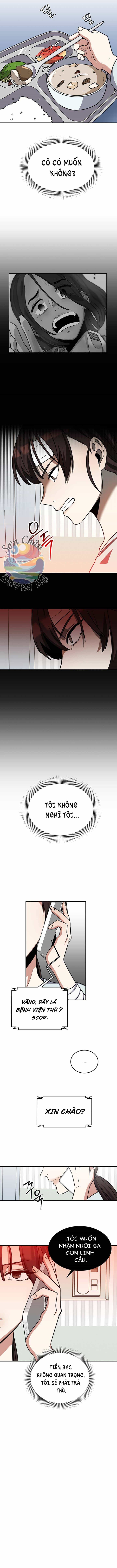 Đây Là Thời Gian Của Bọ Cạp - Chương 3 - ảnh 2