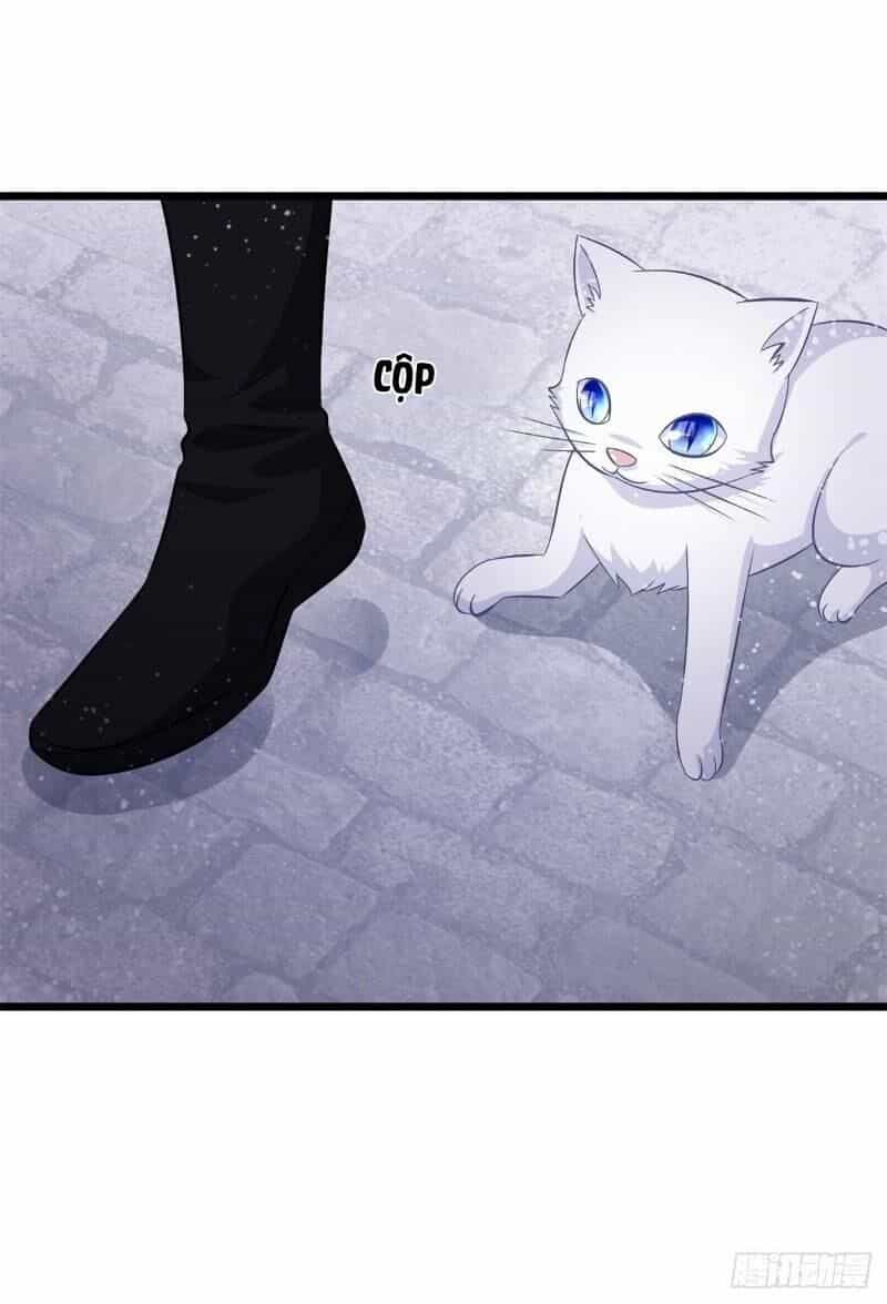 Đế Hoàng Chi Thần Y Khí Phi - Chương 45 - ảnh 19