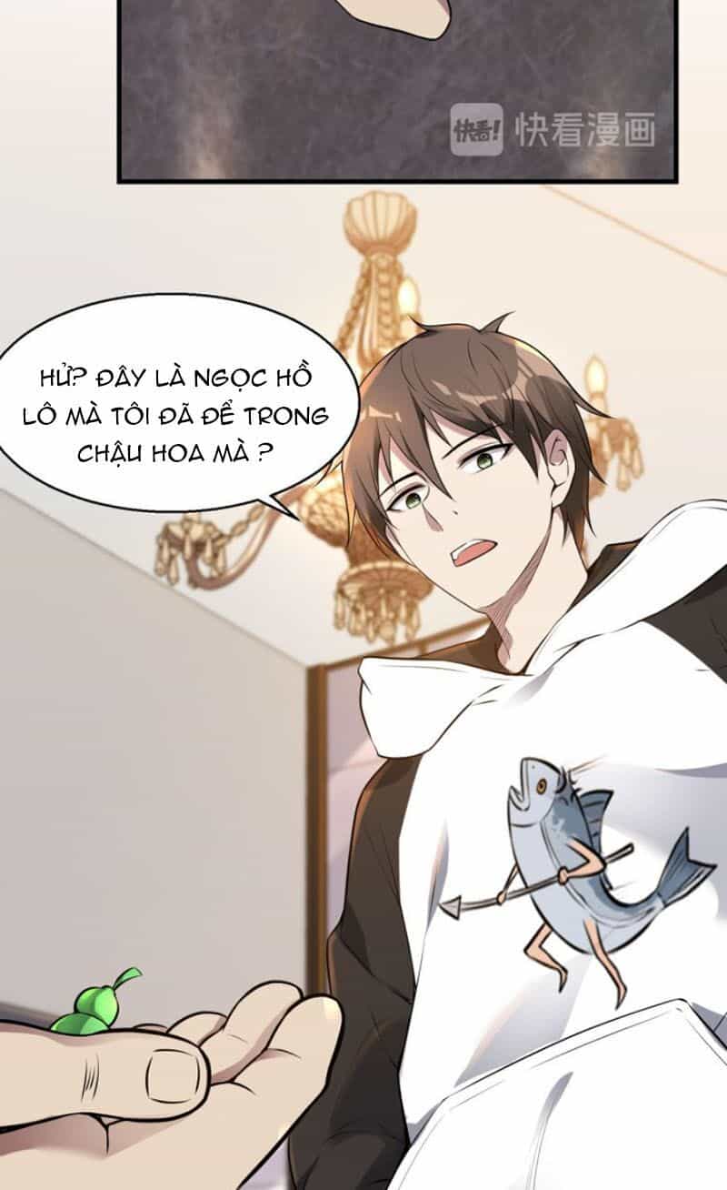 Đệ Nhất Ở Rể - Chương 21 - ảnh 11