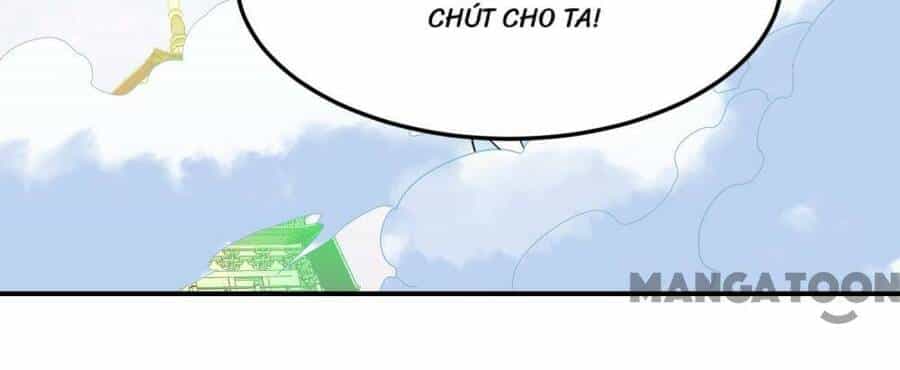 Đệ Nhất Ở Rể - Chương 228 - ảnh 10