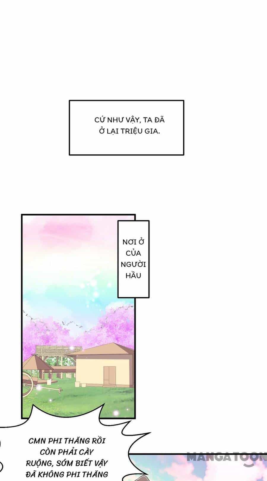 Đệ Nhất Ở Rể - Chương 229 - ảnh 19