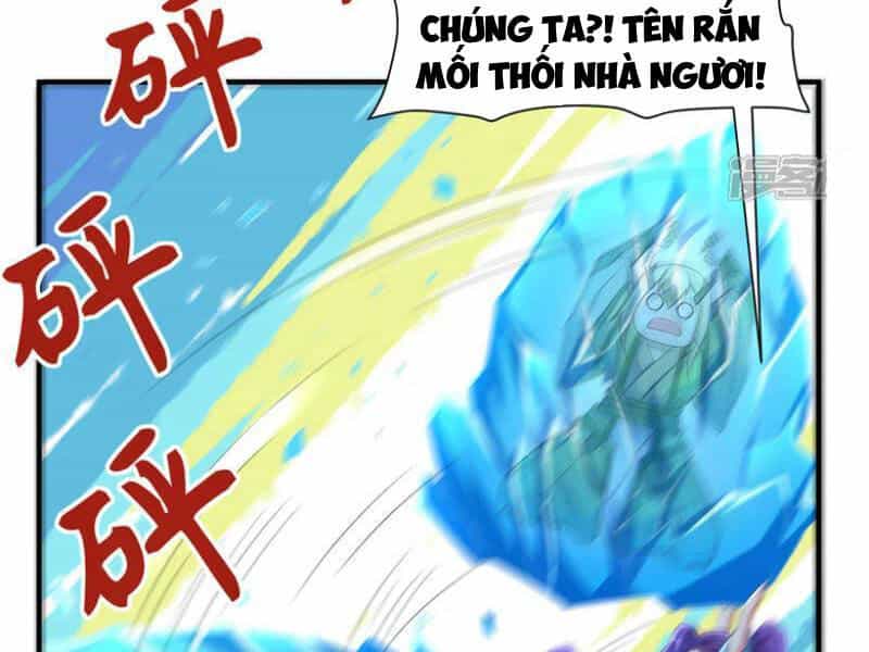 Đệ Nhất Ở Rể - Chương 299 - ảnh 19