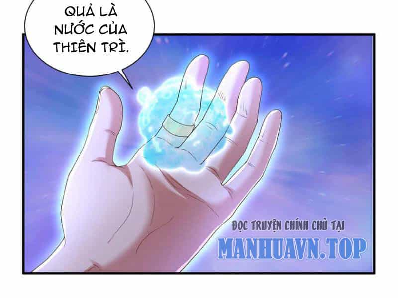 Đệ Nhất Ở Rể - Chương 299 - ảnh 52