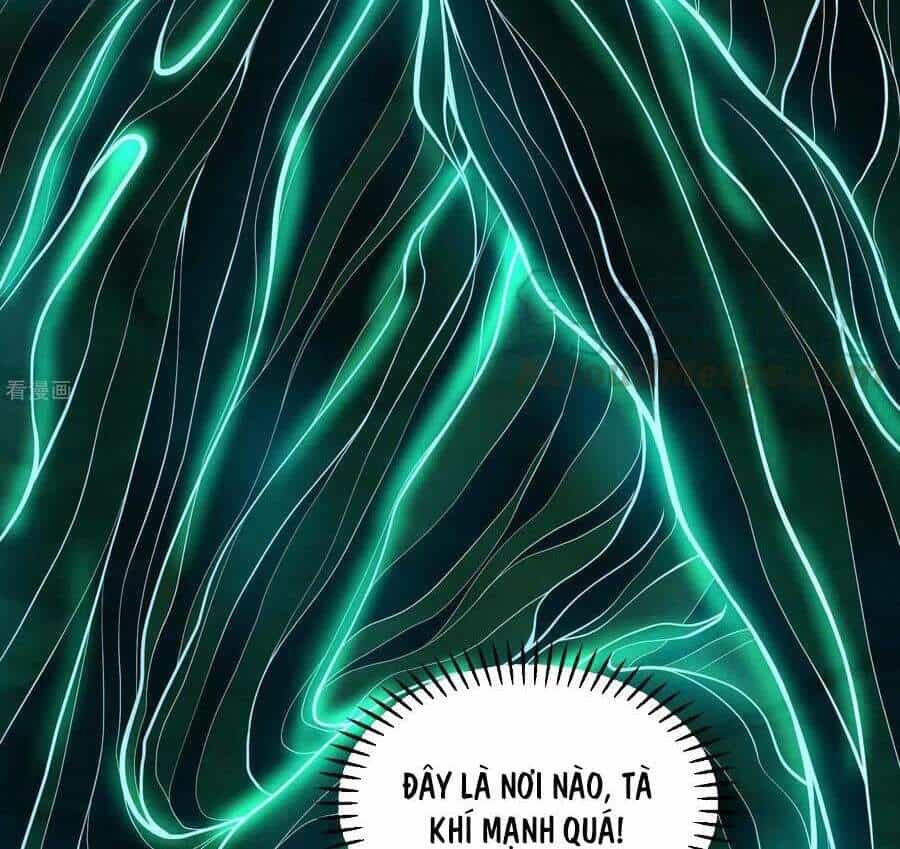 Đệ Nhất Ở Rể - Chương 54 - ảnh 39