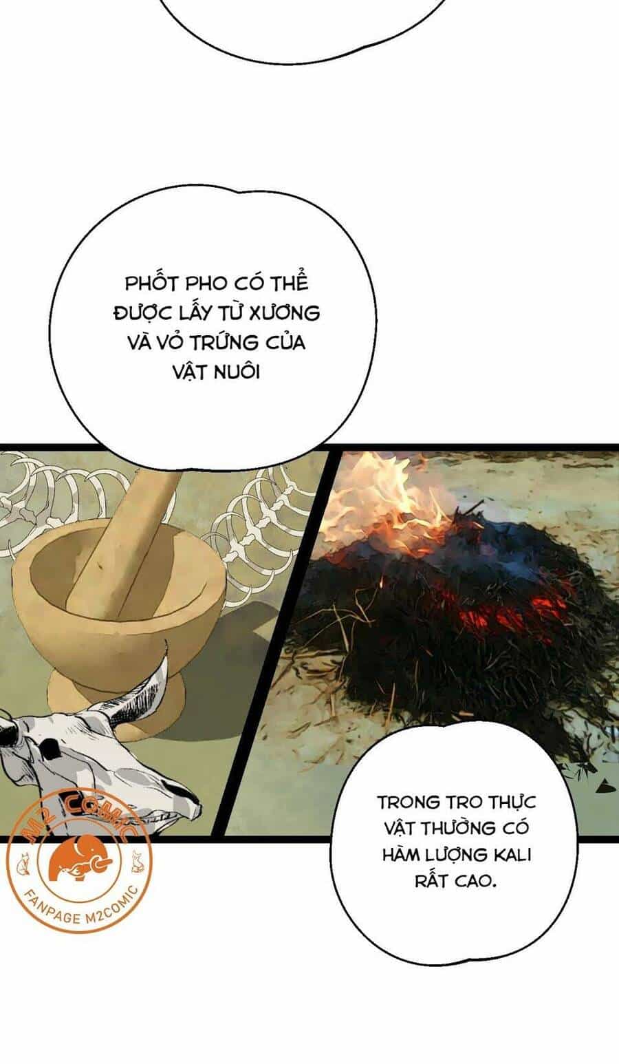 Đế Quốc Lê Man - Chương 25 - ảnh 10
