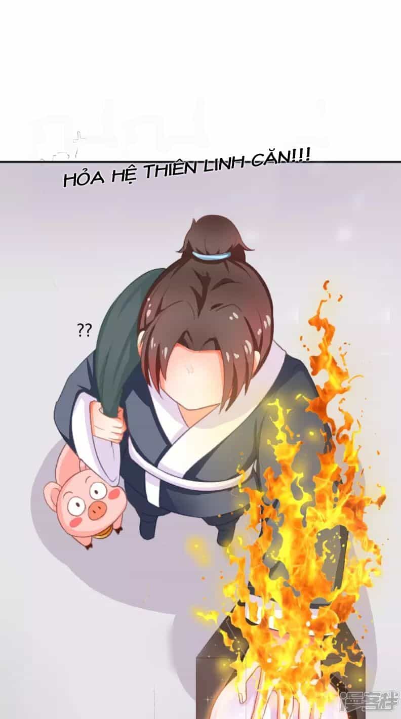 Đệ Tử Của Ta Là Heo - Chương 2 - ảnh 15