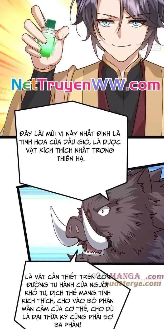 Đệ Tử Siêu Thần Ta Nằm Không, Tông Môn Hủy Diệt Ta Vô Địch - Chương 37 - ảnh 34
