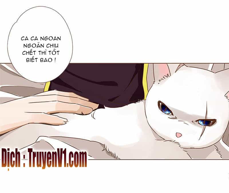 Đế Vương Trắc - Chương 10 - ảnh 18