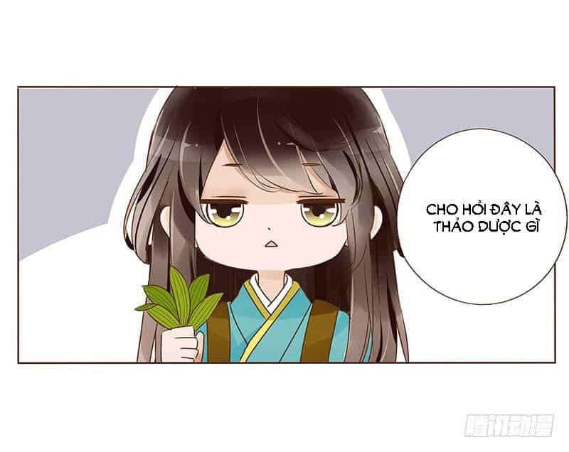 Đế Vương Trắc - Chương 112 - ảnh 28