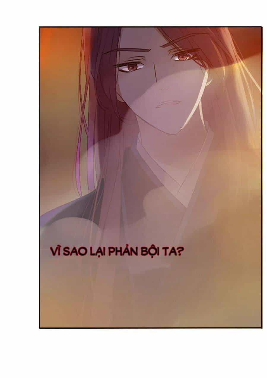 Đế Vương Trắc - Chương 237 - ảnh 41