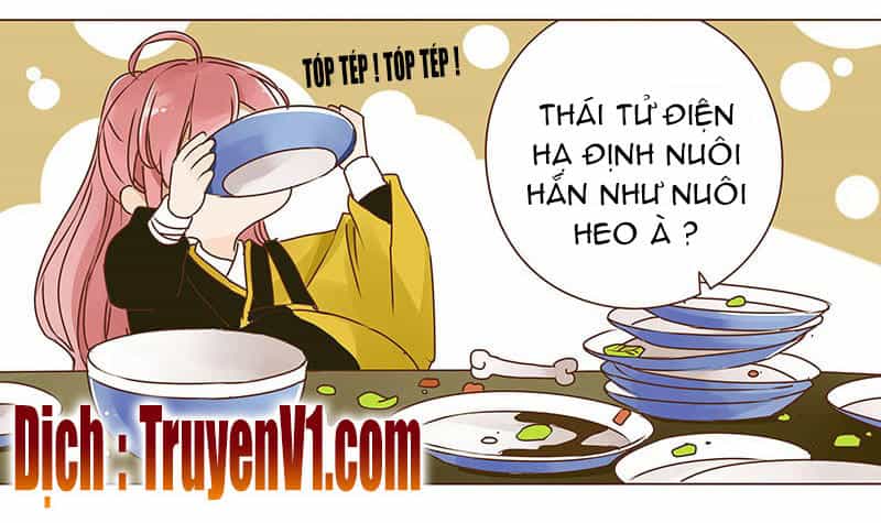 Đế Vương Trắc - Chương 41 - ảnh 25