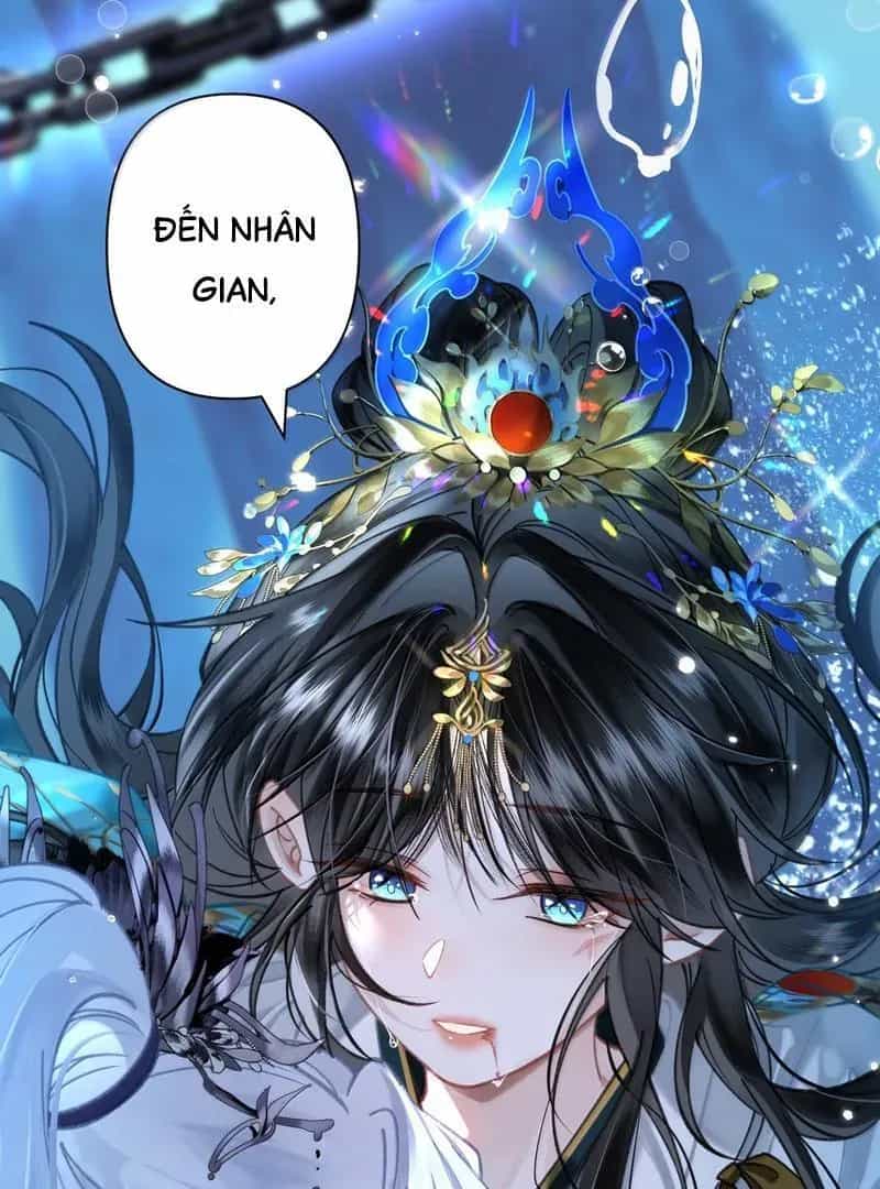Đến Đông Hải Tìm Mỹ Nhân - Chương 36 - ảnh 42