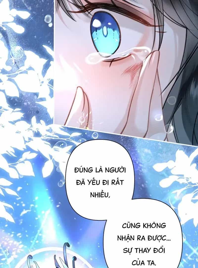 Đến Đông Hải Tìm Mỹ Nhân - Chương 36 - ảnh 57