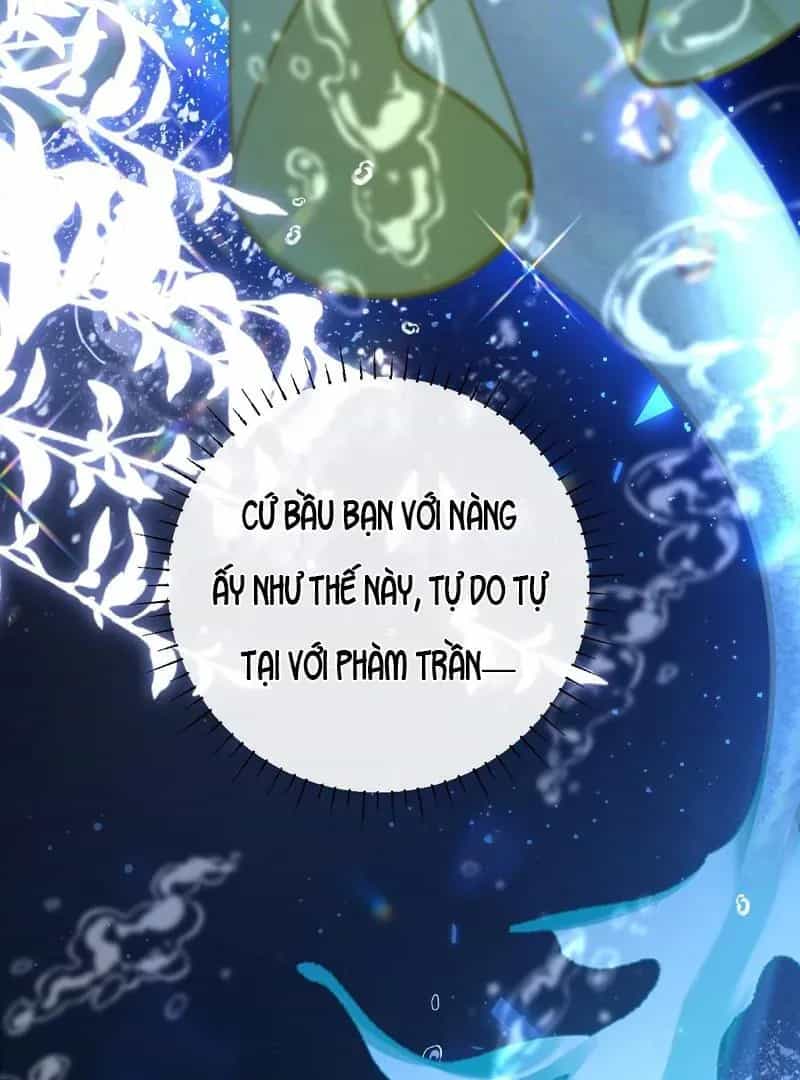 Đến Đông Hải Tìm Mỹ Nhân - Chương 40 - ảnh 78