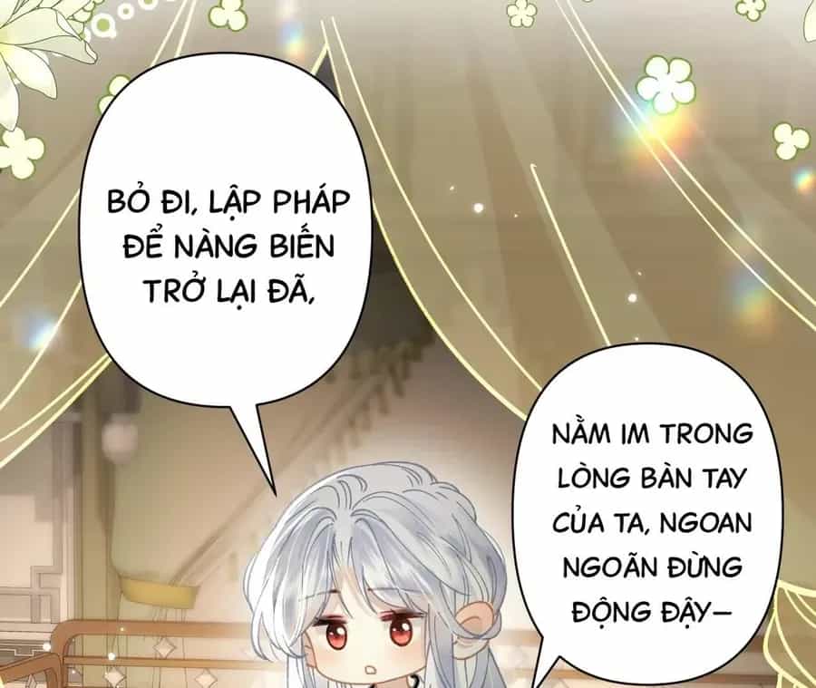 Đến Đông Hải Tìm Mỹ Nhân - Chương 42 - ảnh 69