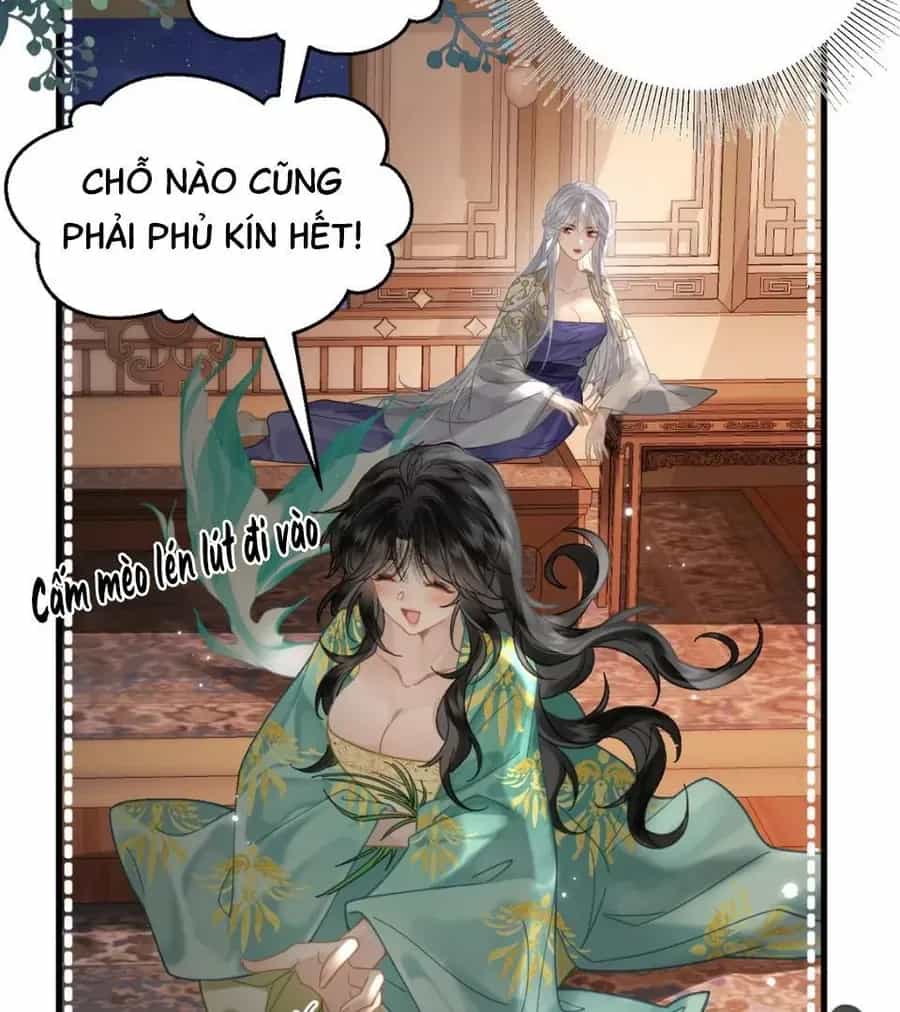 Đến Đông Hải Tìm Mỹ Nhân - Chương 53 - ảnh 21