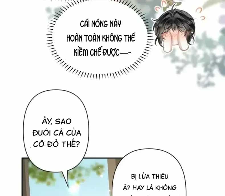 Đến Đông Hải Tìm Mỹ Nhân - Chương 56 - ảnh 25