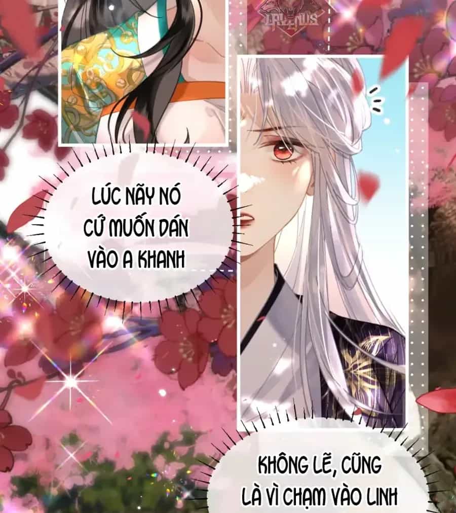 Đến Đông Hải Tìm Mỹ Nhân - Chương 58 - ảnh 52