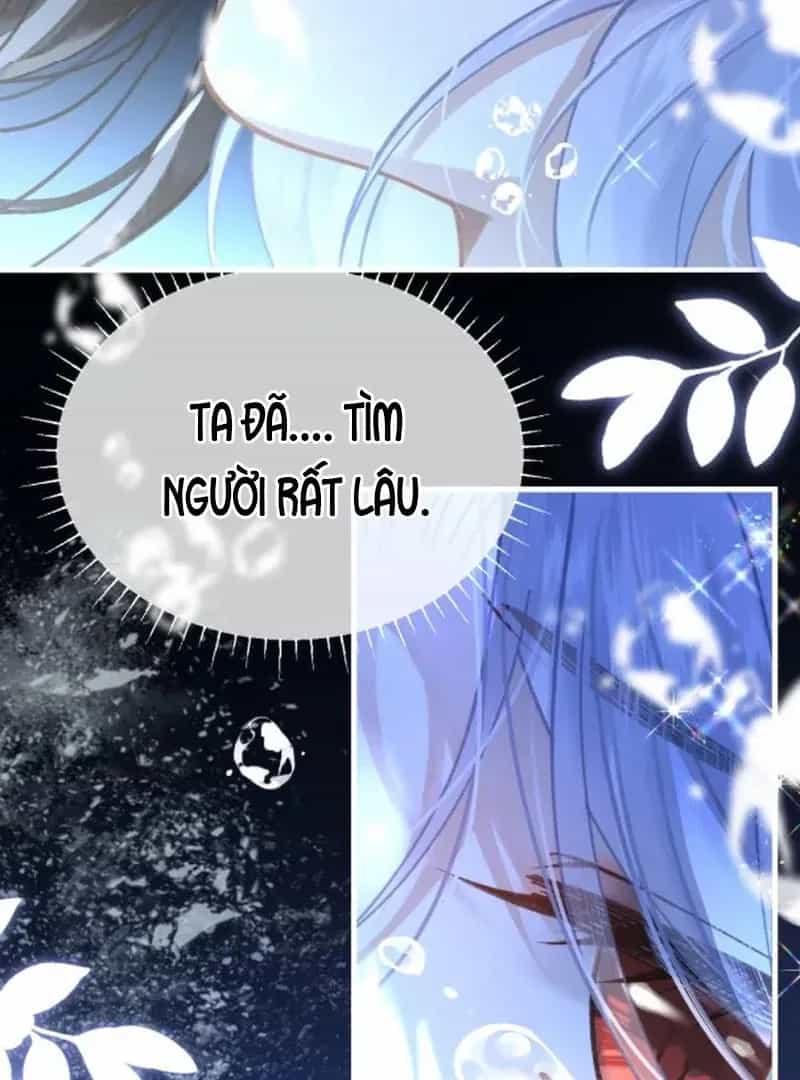 Đến Đông Hải Tìm Mỹ Nhân - Chương 67 - ảnh 5