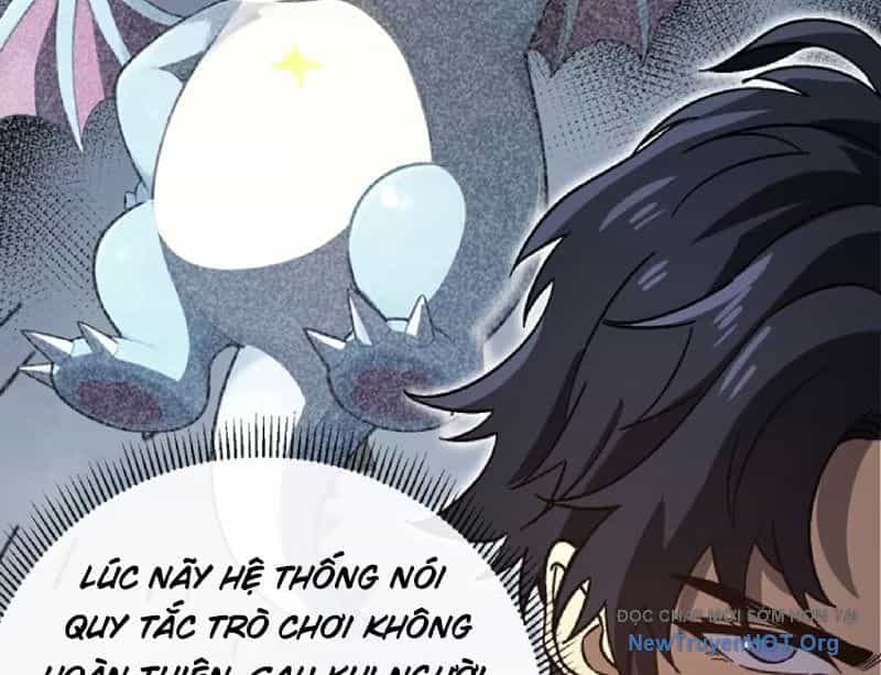Dị Biến Giáng Lâm Nhân Gian: Kế Hoạch Thanh Trừ Người Chơi - Chương 14 - ảnh 94