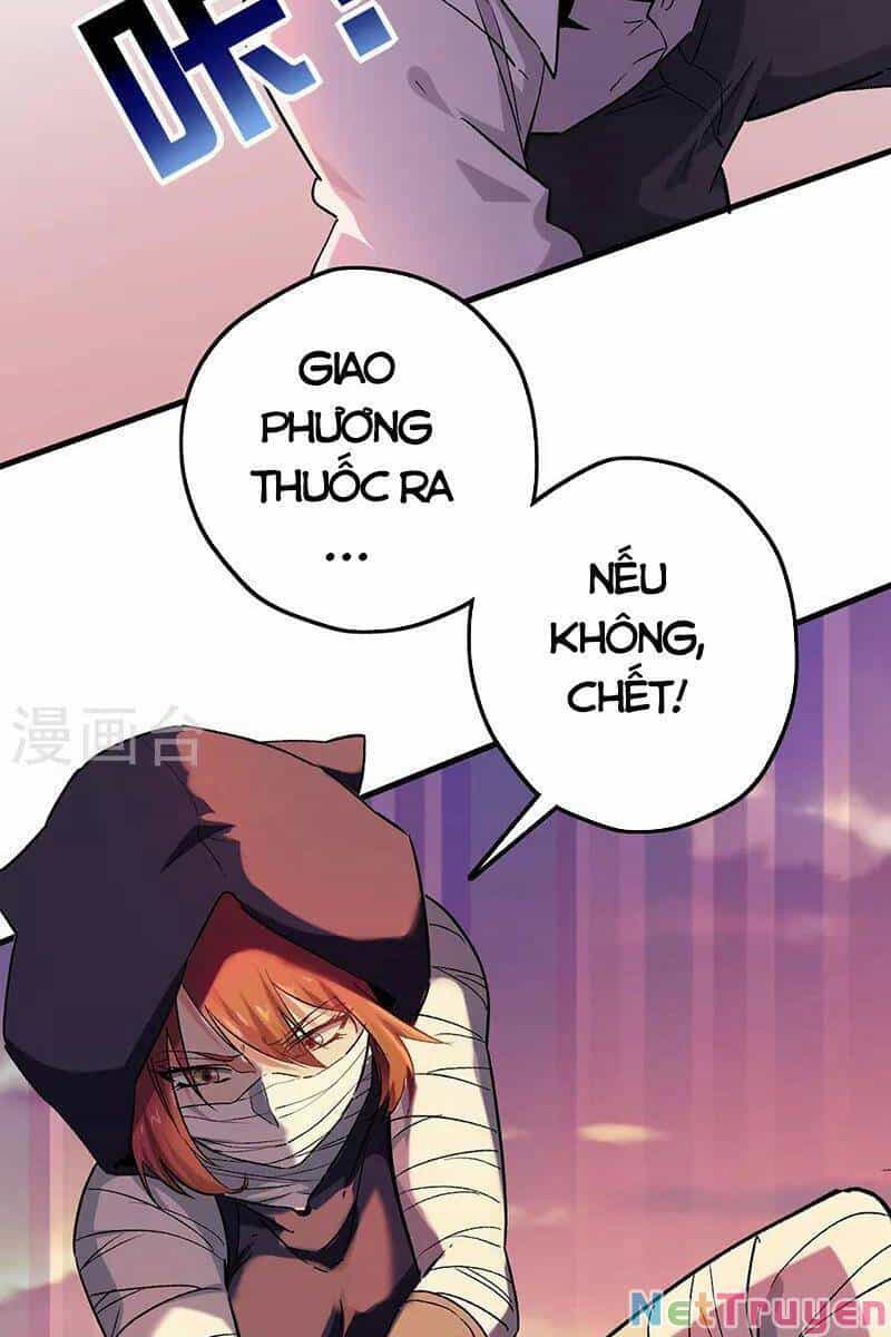 Diệu Thủ Cuồng Y - Chương 226 - ảnh 4