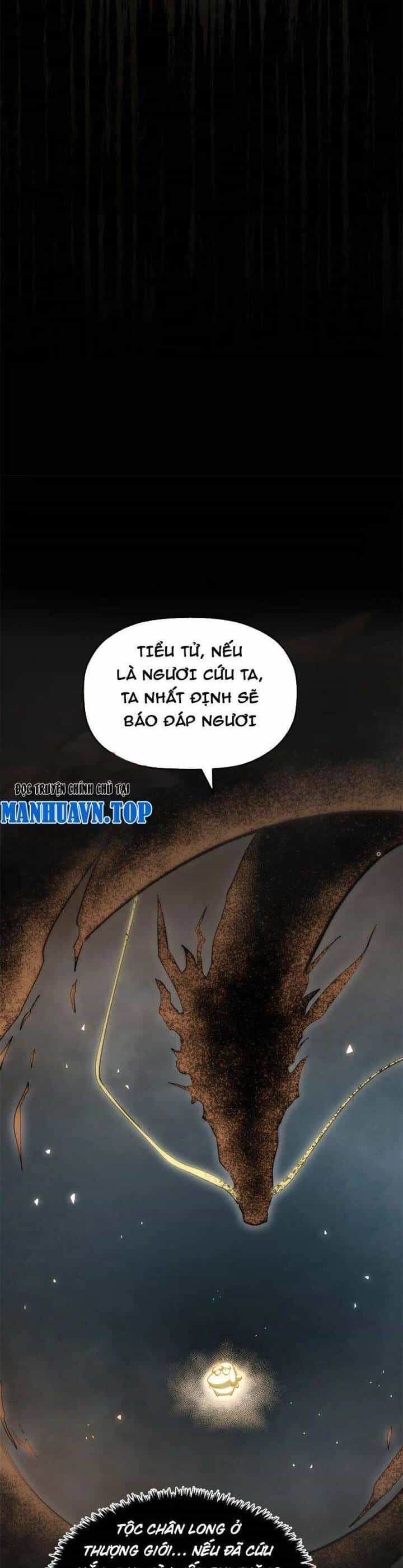 Đỉnh Cấp Khí Vận, Lặng Lẽ Tu Luyện Ngàn Năm - Chương 188 - ảnh 10