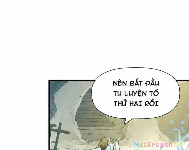 Đỉnh Cấp Khí Vận, Lặng Lẽ Tu Luyện Ngàn Năm - Chương 196 - ảnh 99