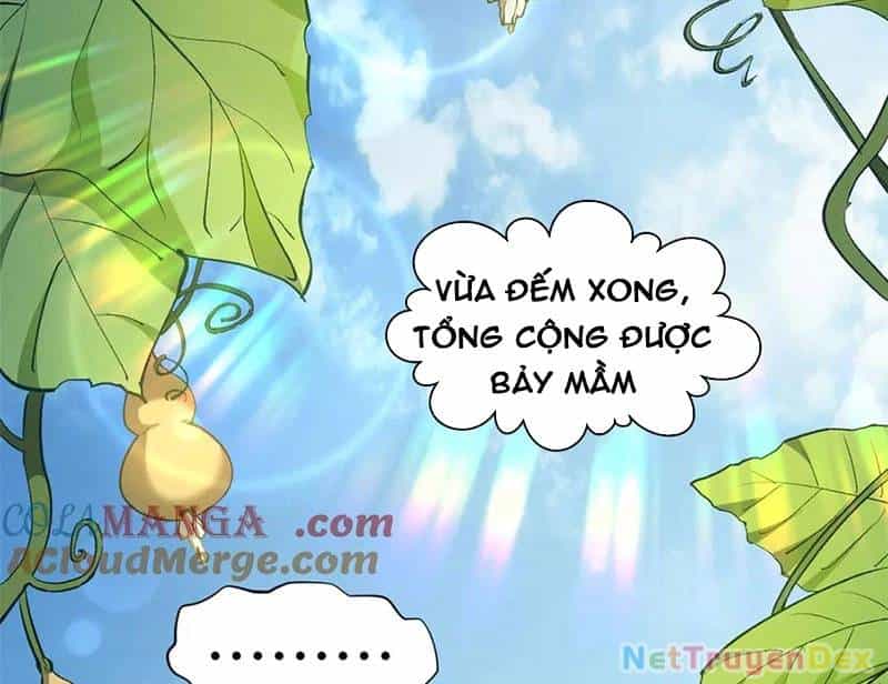 Đỉnh Cấp Khí Vận, Lặng Lẽ Tu Luyện Ngàn Năm - Chương 199 - ảnh 31