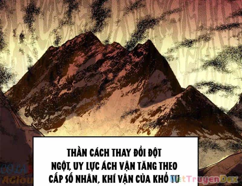 Đỉnh Cấp Khí Vận, Lặng Lẽ Tu Luyện Ngàn Năm - Chương 199 - ảnh 4