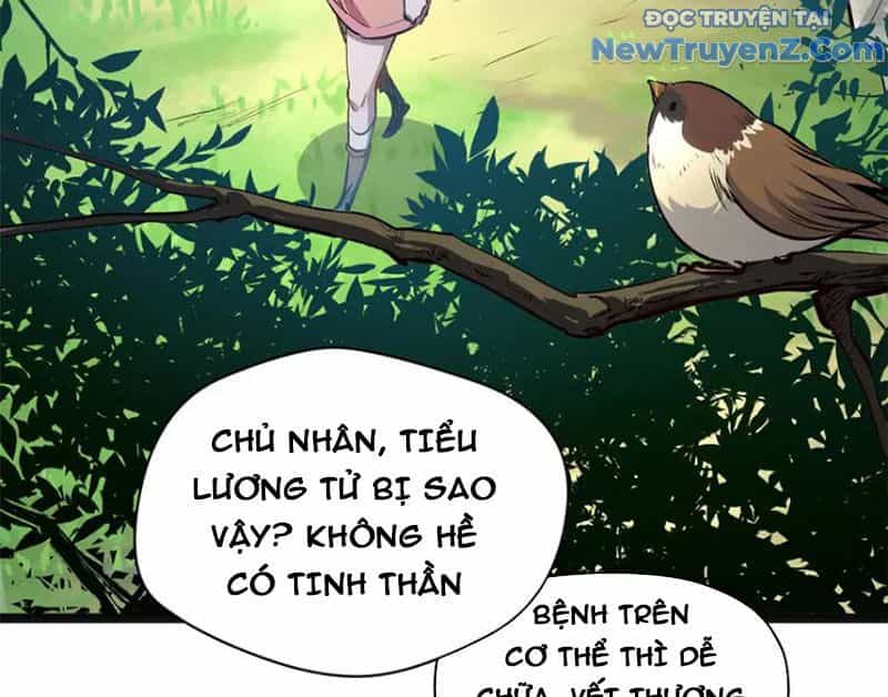Đỉnh Cấp Khí Vận, Lặng Lẽ Tu Luyện Ngàn Năm - Chương 213 - ảnh 37
