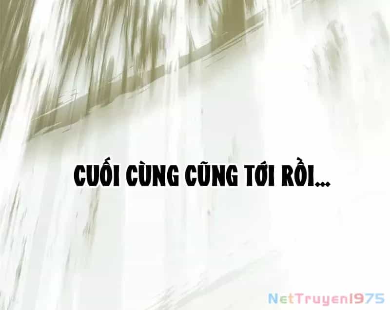 Đỉnh Cấp Khí Vận, Lặng Lẽ Tu Luyện Ngàn Năm - Chương 217 - ảnh 66